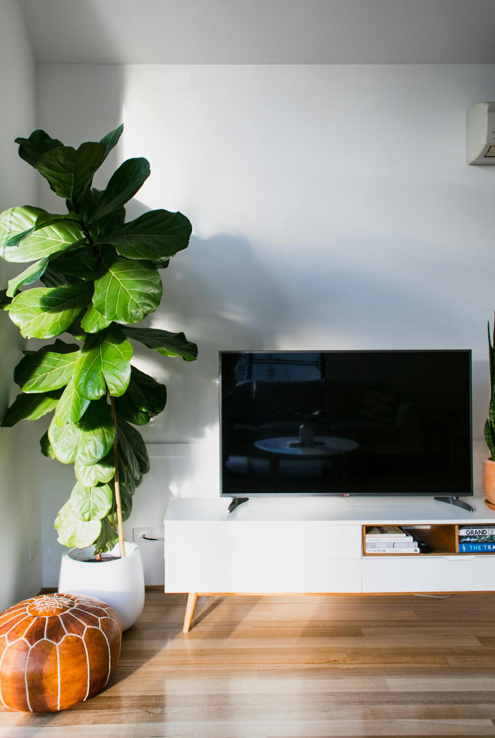 Modern TV placed on white cupboard placed at white wall near potted plant with green leaves in light living room